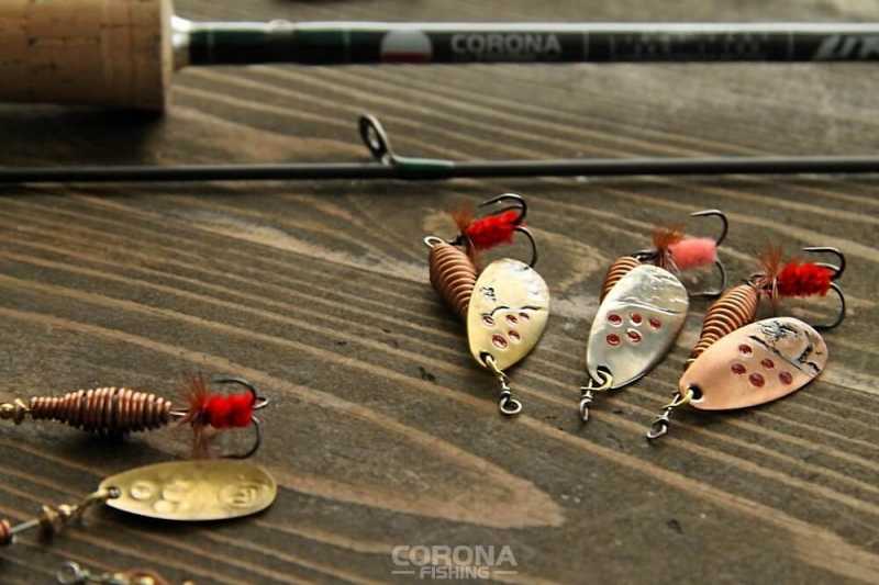 klepanka comet piotr lipiec